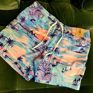 Chubbies Classic Stretch Lined Swim Trunks (Ticket to Tides)